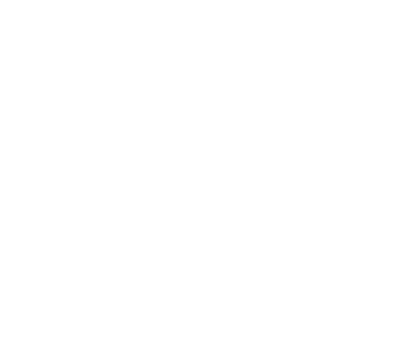 VB Telecom